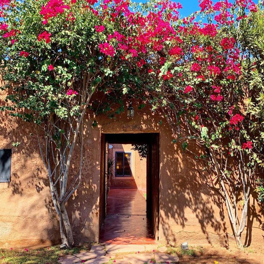 La Ferme Berbere Adult Only Bed & Breakfast El Harkat Екстериор снимка