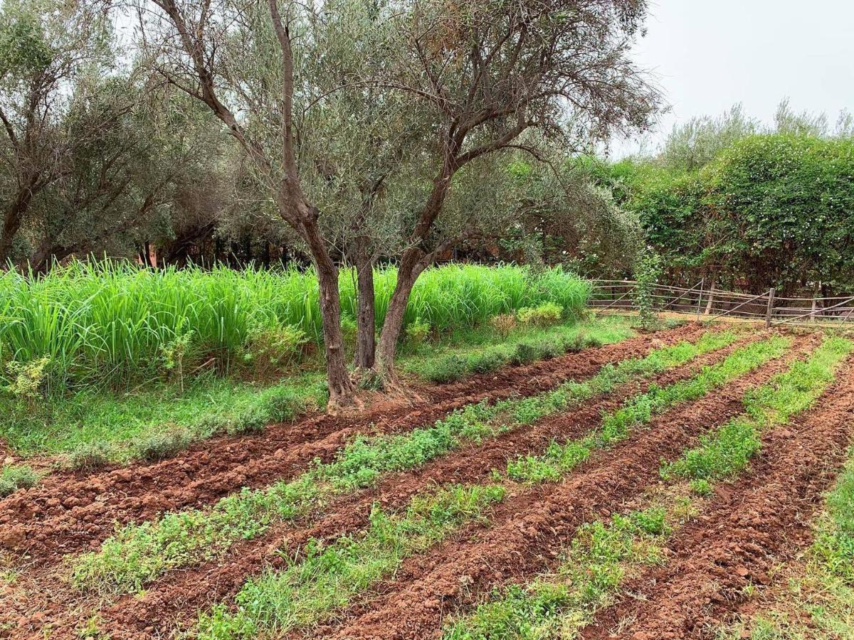 La Ferme Berbere Adult Only Bed & Breakfast El Harkat Екстериор снимка