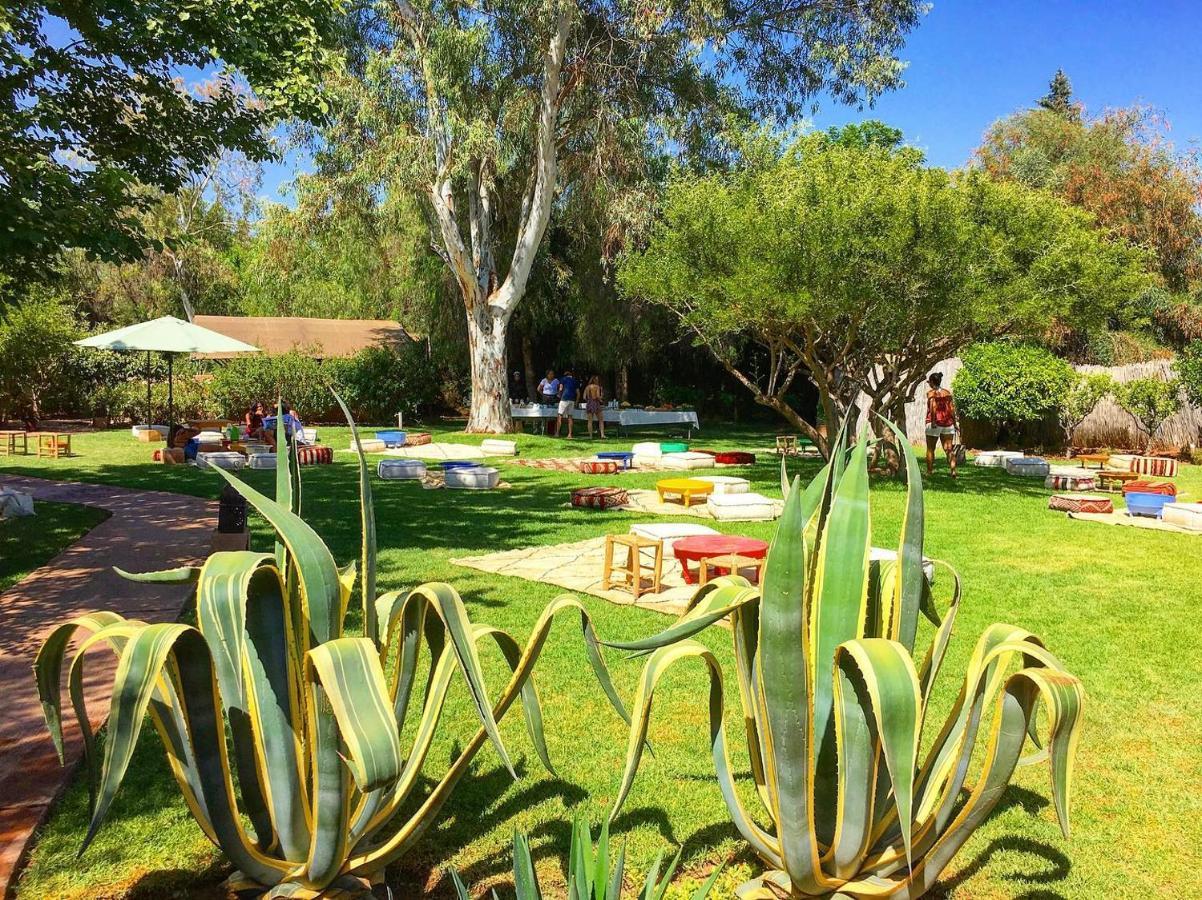 La Ferme Berbere Adult Only Bed & Breakfast El Harkat Екстериор снимка
