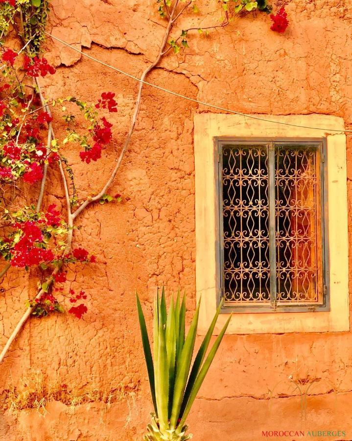 La Ferme Berbere Adult Only Bed & Breakfast El Harkat Екстериор снимка